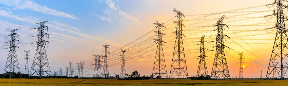 Power lines and utility grid infrastructure